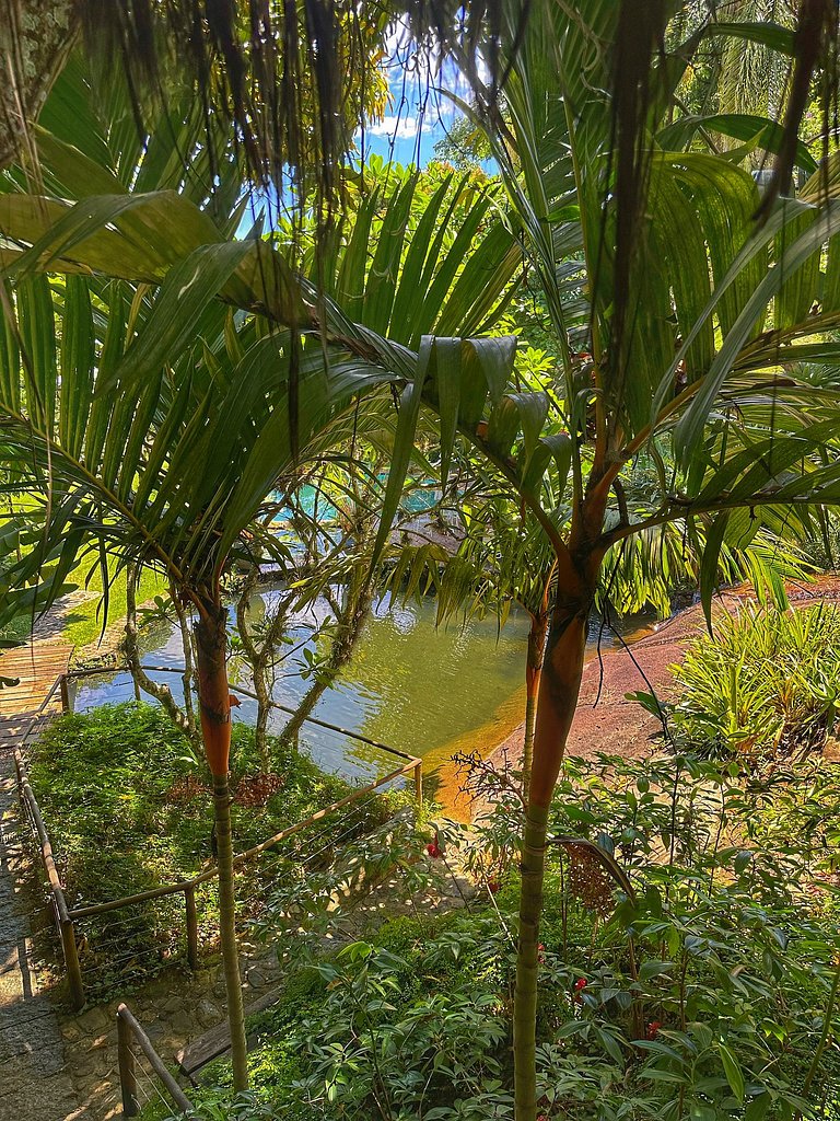 Casas D’Água Doce - Casa da Árvore